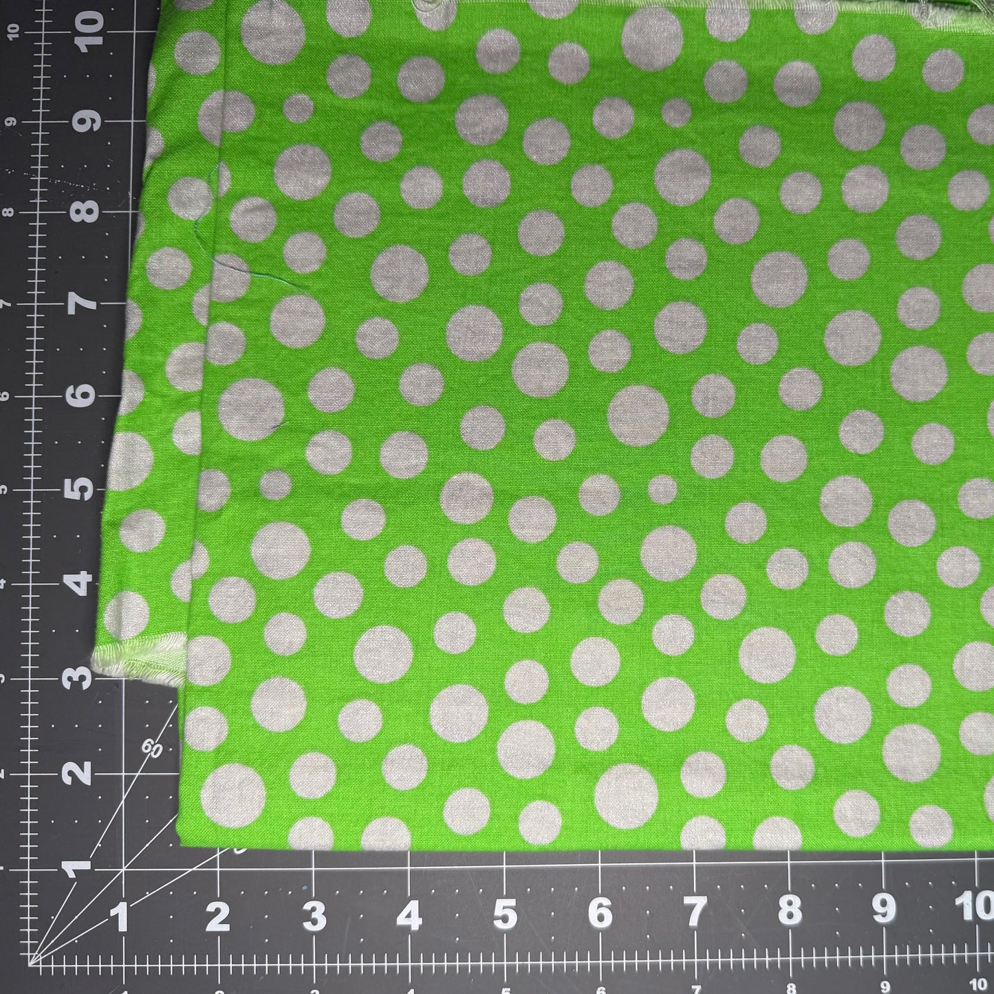 Sample Sale Collar - Silver dots on lime green