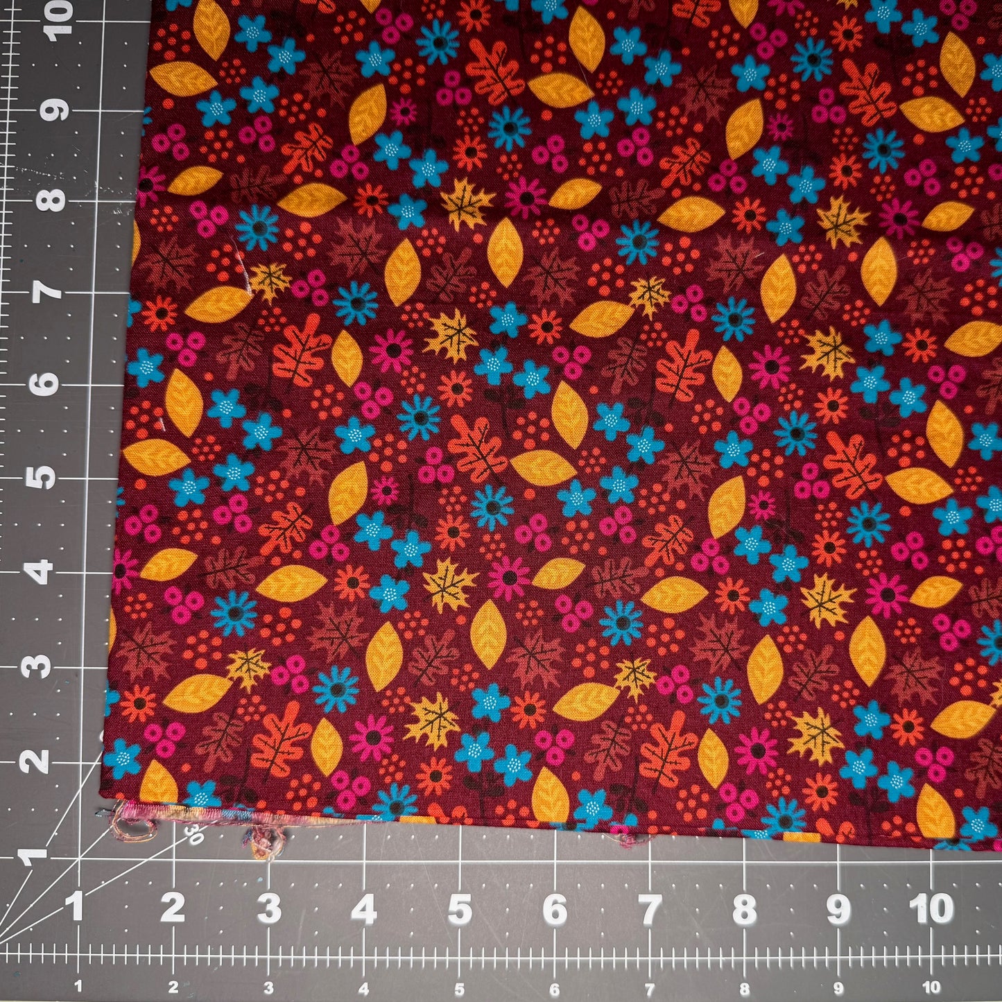 Sample Sale Collar - Floral Autumn Leaves