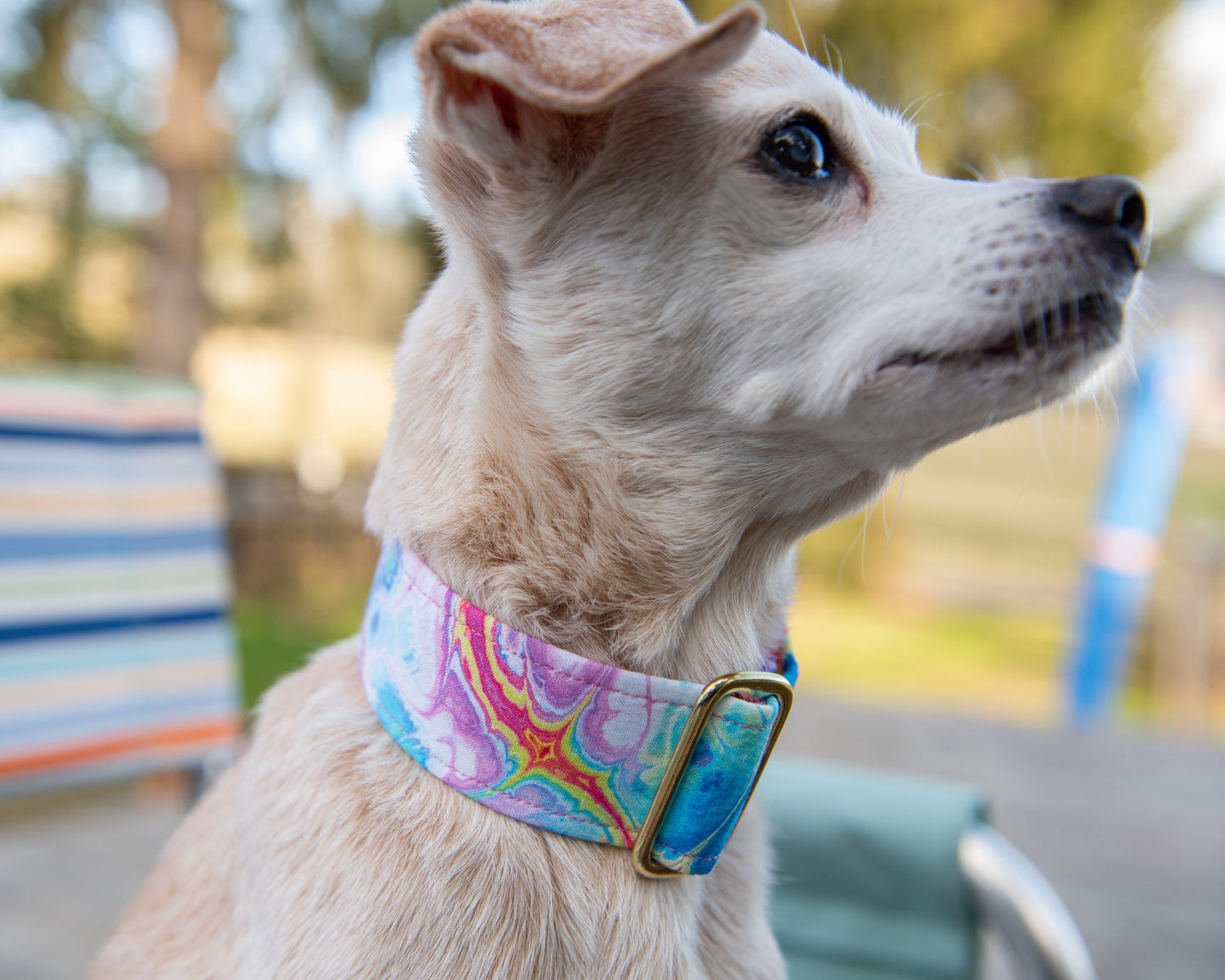 The Karma Collar *Pattern may varry*