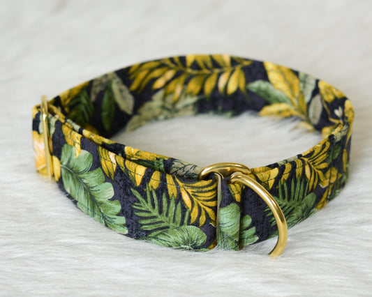 The Fern Collar