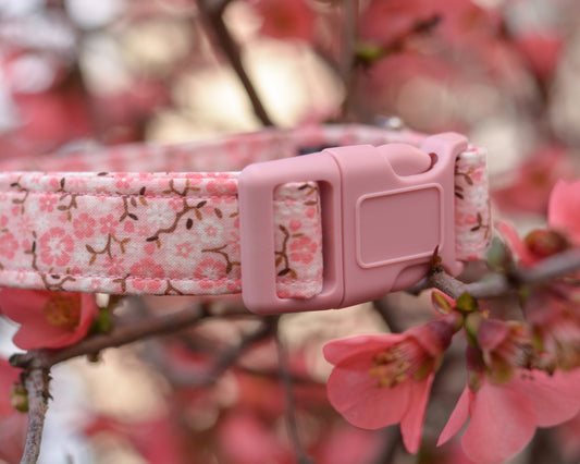 The Blossom Collar