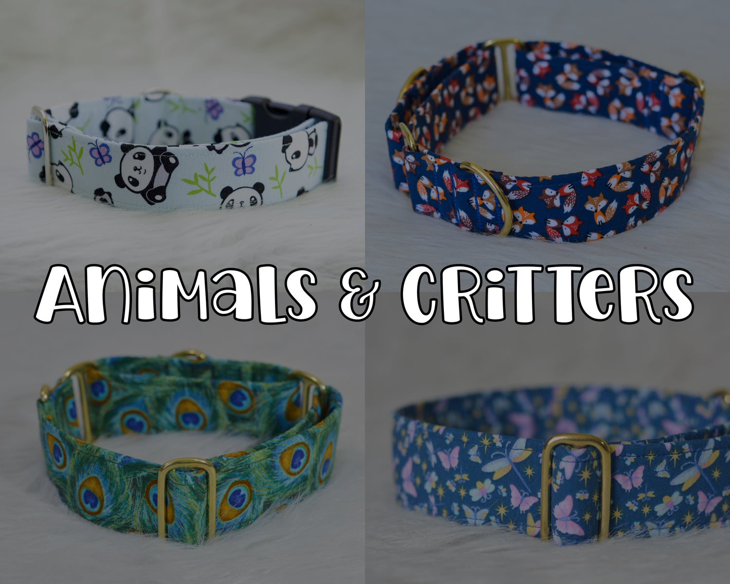 Animals & Critters