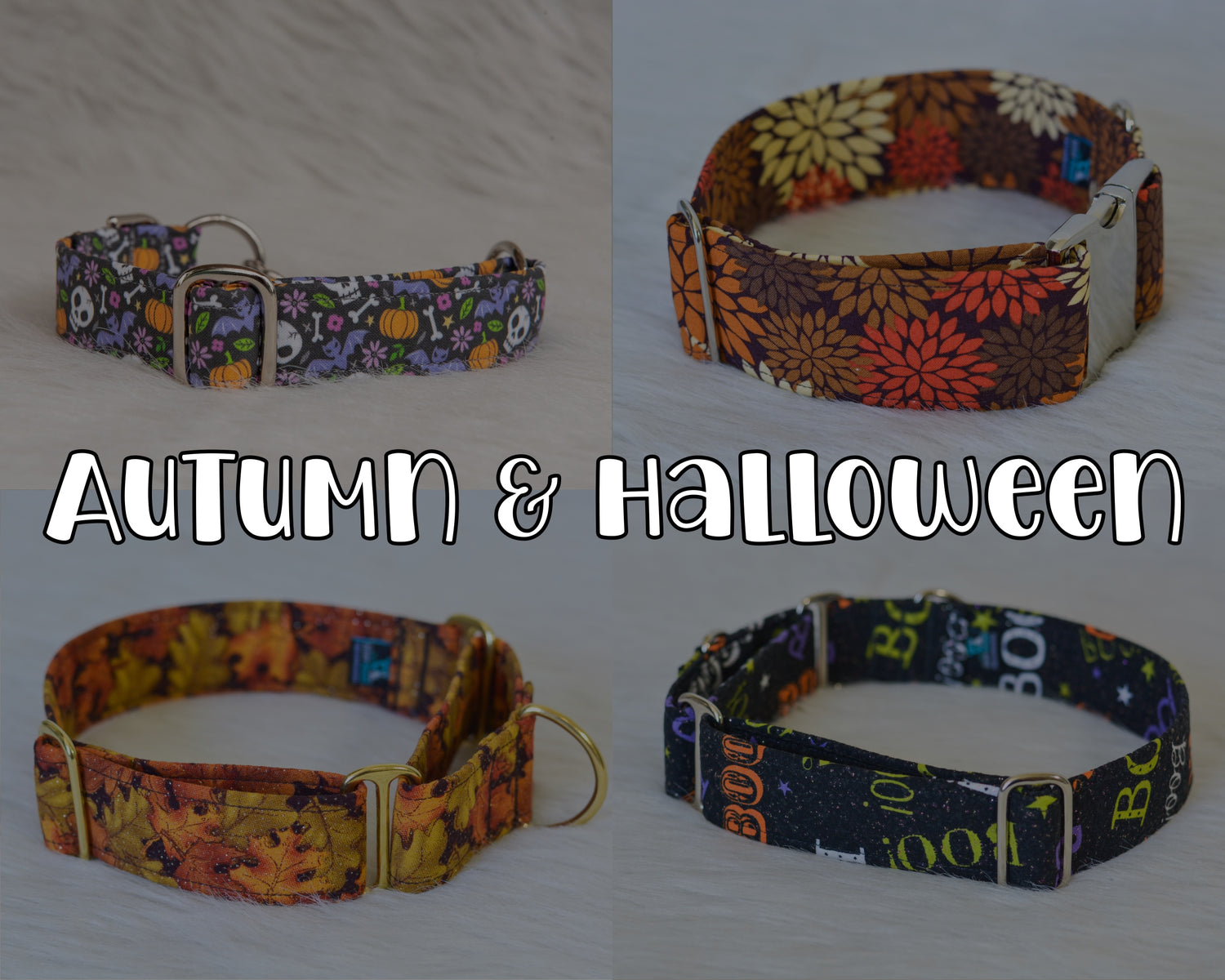 Autumn & Halloween