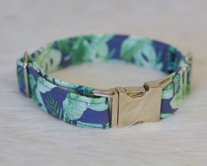 The Scout Collar