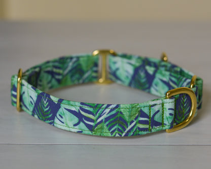 The Scout Collar