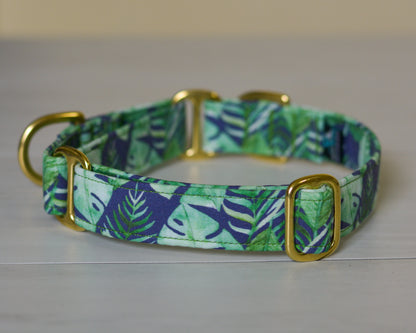 The Scout Collar