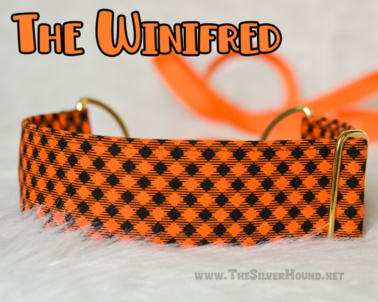 The Winifred Collar
