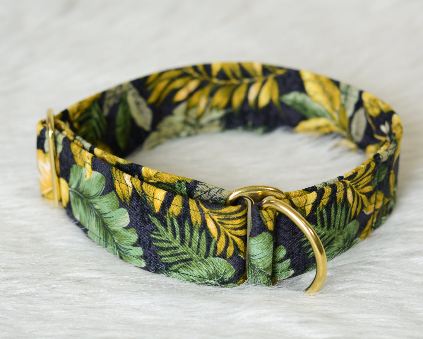 The Fern Collar