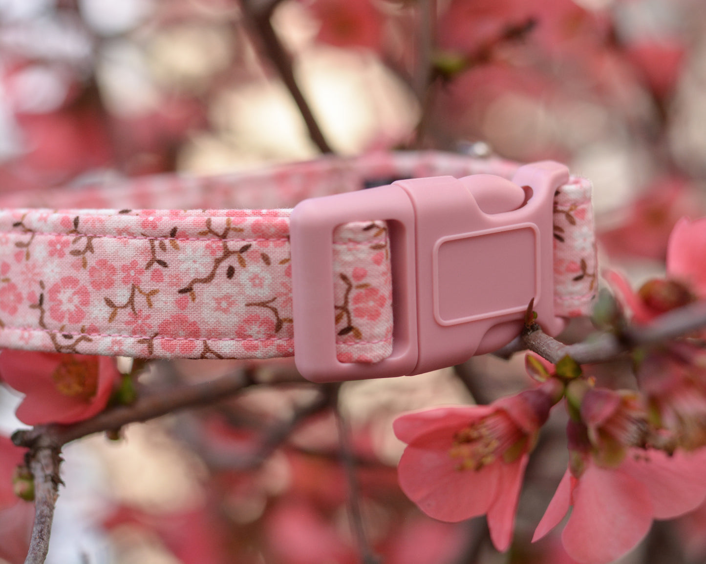 The Blossom Collar