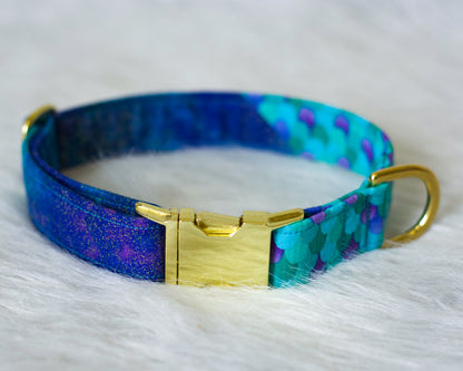 *Upgrade/Add On* - Make my collar "Two-Toned"! - (All styles other than fabric martingales)