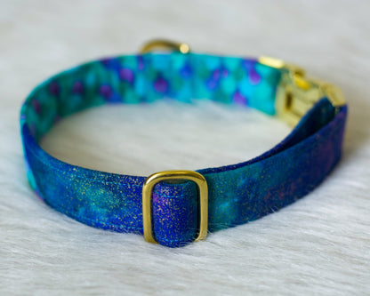 *Upgrade/Add On* - Make my collar "Two-Toned"! - (All styles other than fabric martingales)