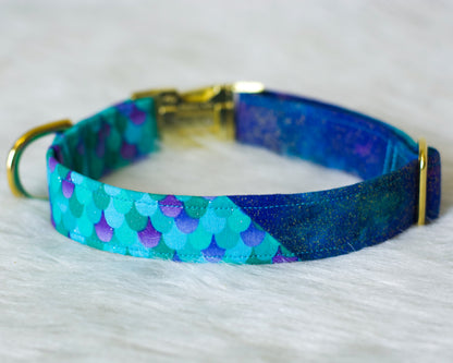 *Upgrade/Add On* - Make my collar "Two-Toned"! - (All styles other than fabric martingales)