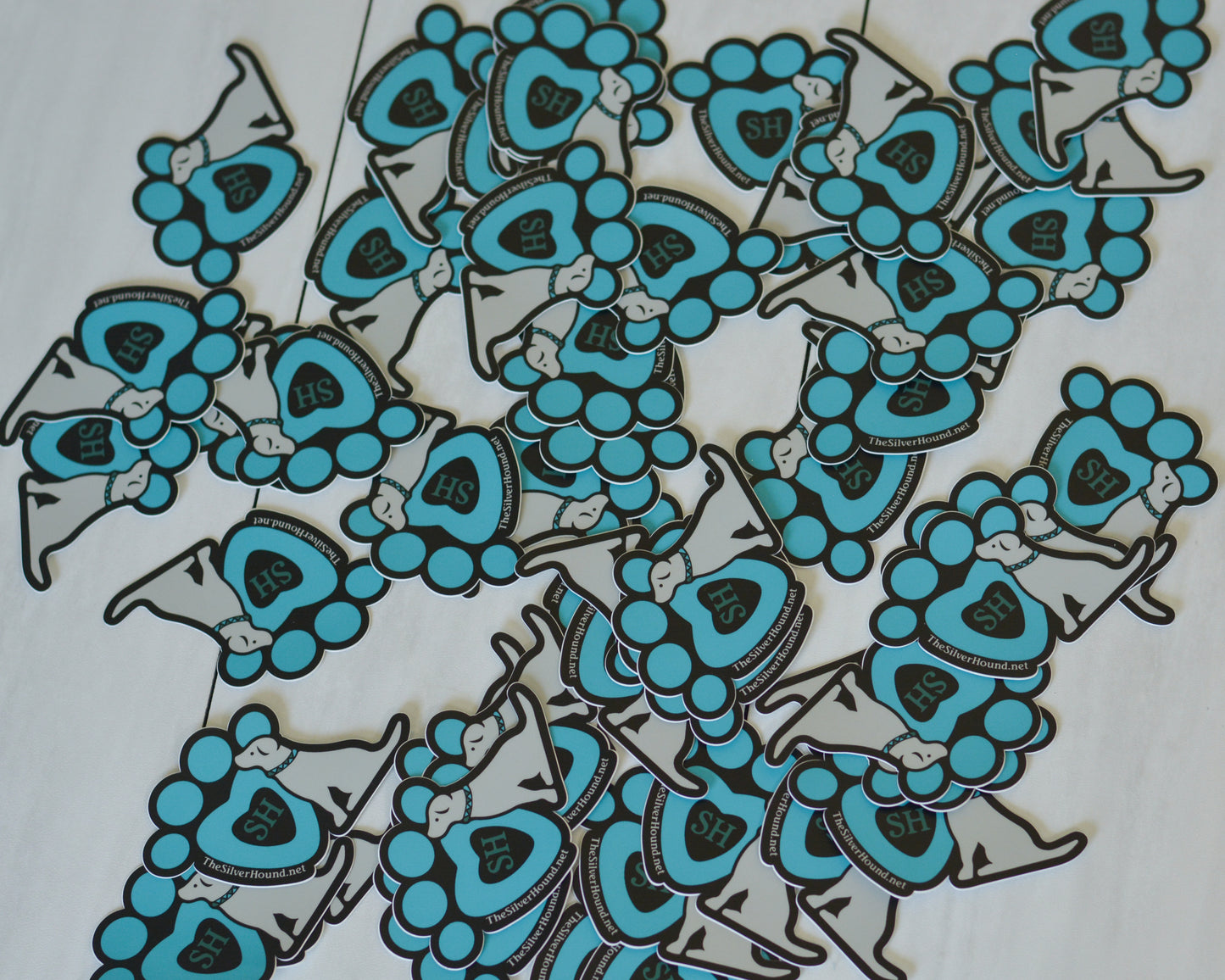 Logo Sticker - Limited Quantities!