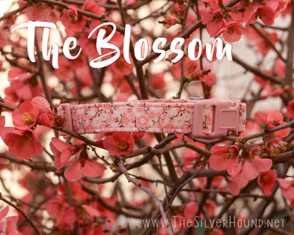 The Blossom Collar