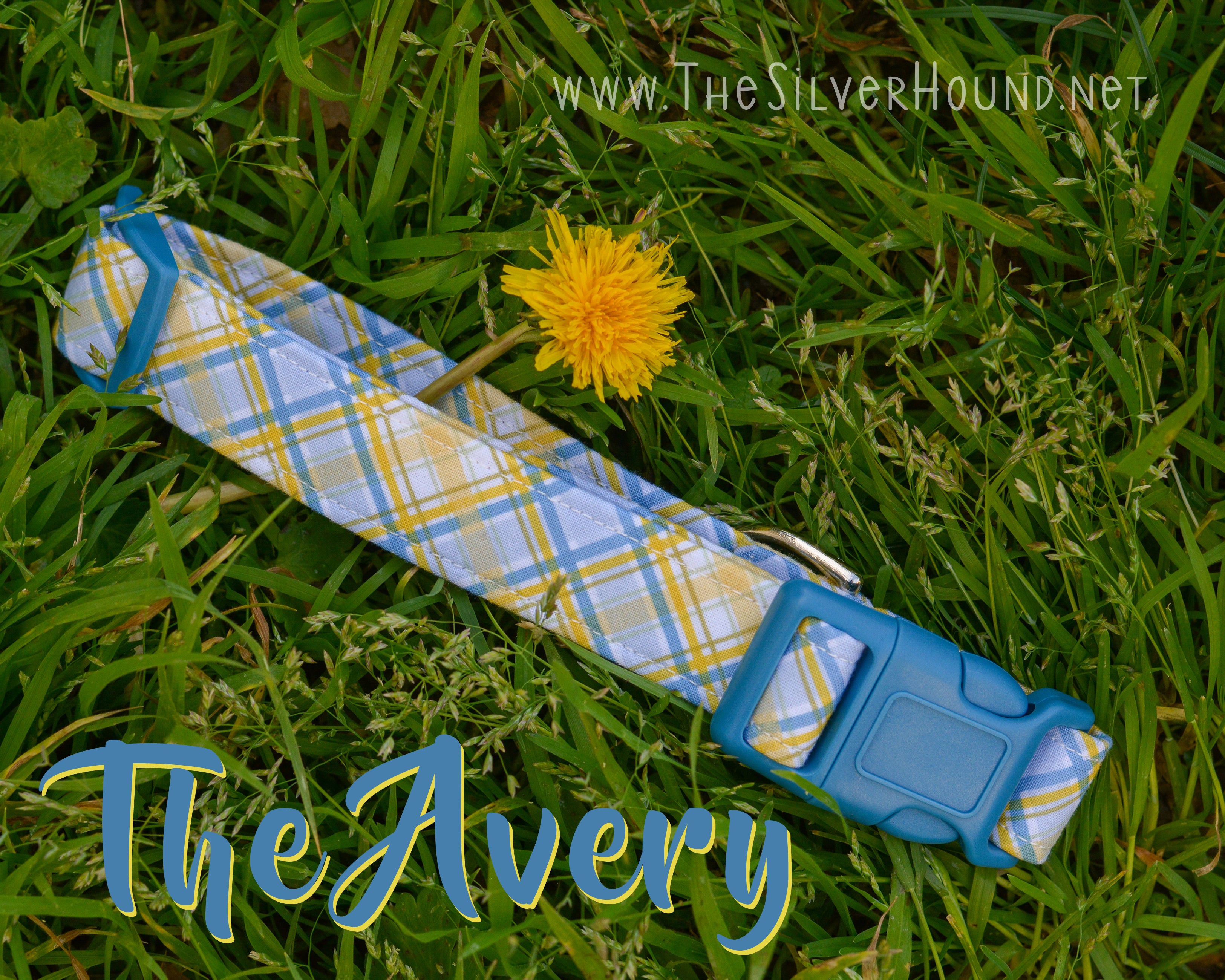 The Avery Collar – The Silver Hound