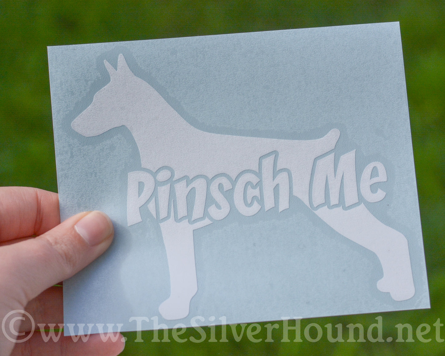 Pinsch Me (Decal)