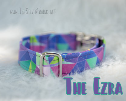 The Ezra Collar