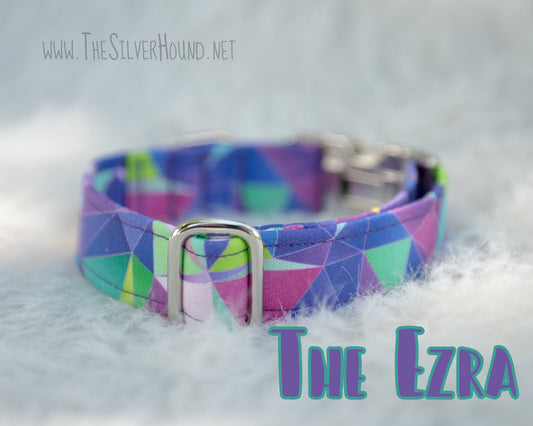 The Ezra Collar